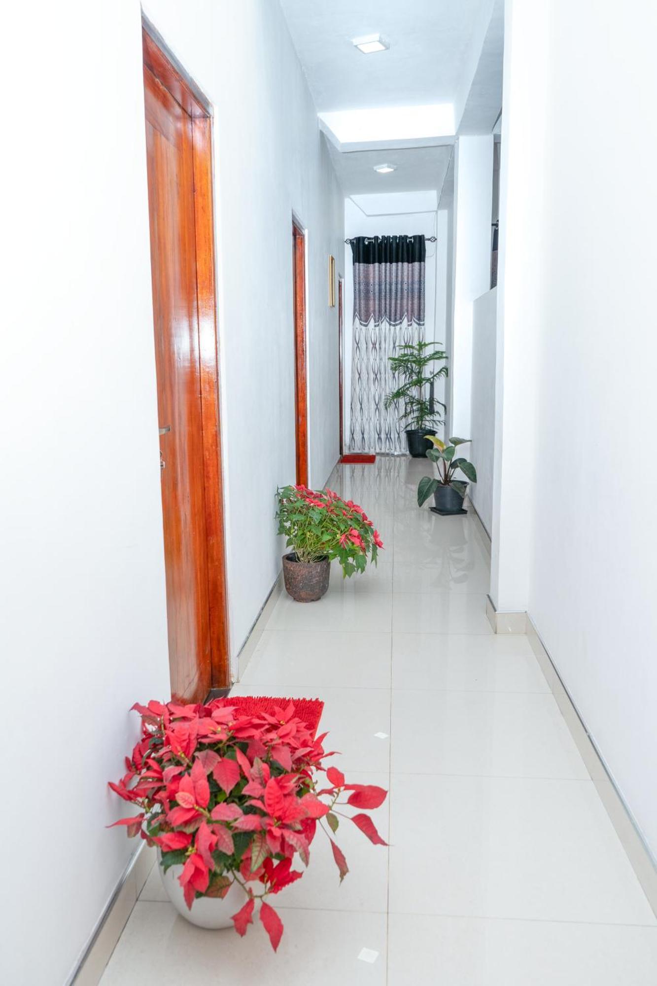 Flower Top إيلا المظهر الخارجي الصورة